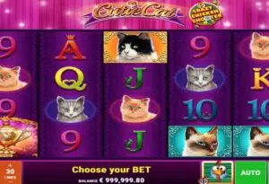 Cutie Cats CCS