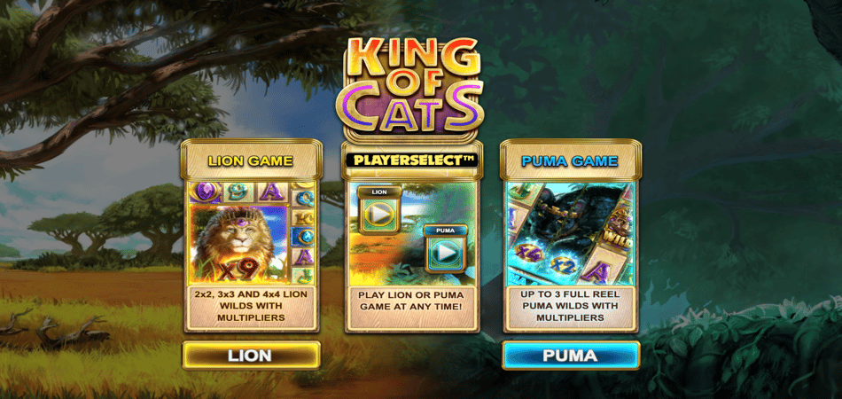 King of Cats slot game
