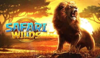 Safari Wilds