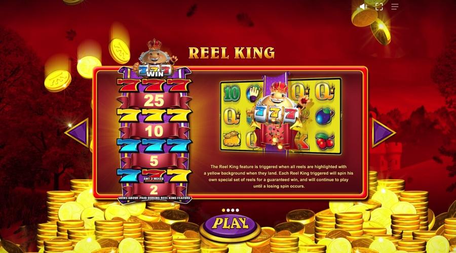 Reel King Mega slot features