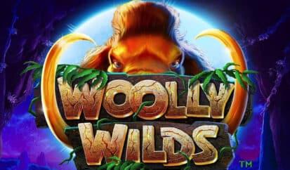 New Woolly Wilds Slot