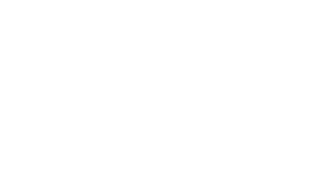 Flush Casino Review